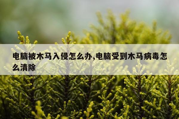 电脑被木马入侵怎么办,电脑受到木马病毒怎么清除