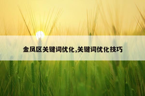 金凤区关键词优化,关键词优化技巧