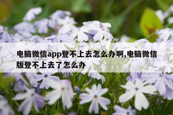 电脑微信app登不上去怎么办啊,电脑微信版登不上去了怎么办