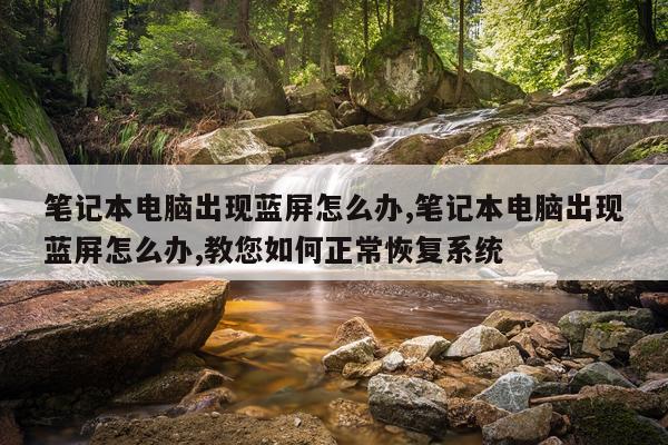 笔记本电脑出现蓝屏怎么办,笔记本电脑出现蓝屏怎么办,教您如何正常恢复系统