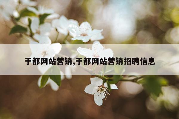 于都网站营销,于都网站营销招聘信息