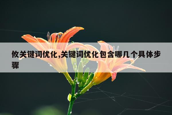 攸关键词优化,关键词优化包含哪几个具体步骤