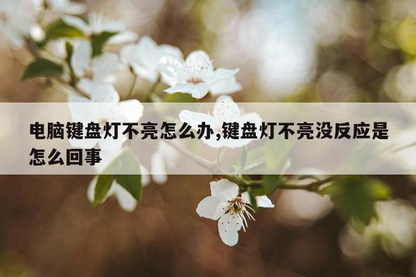 电脑键盘灯不亮怎么办,键盘灯不亮没反应是怎么回事