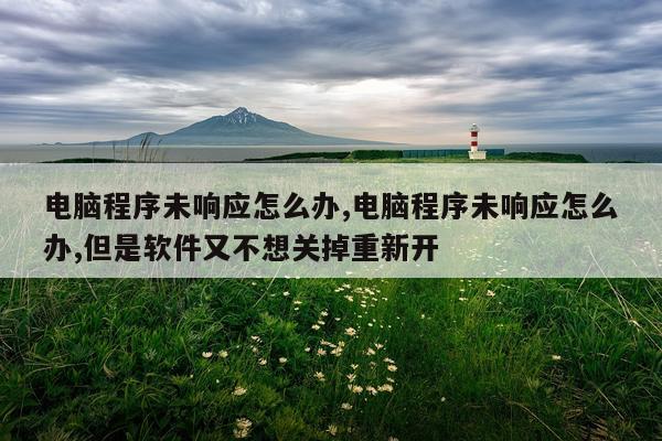 电脑程序未响应怎么办,电脑程序未响应怎么办,但是软件又不想关掉重新开