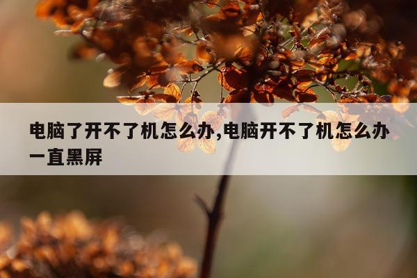 电脑了开不了机怎么办,电脑开不了机怎么办一直黑屏