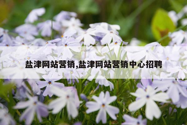 盐津网站营销,盐津网站营销中心招聘