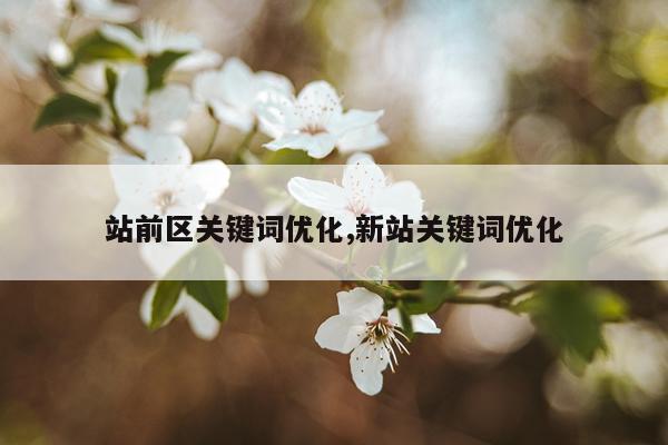 站前区关键词优化,新站关键词优化