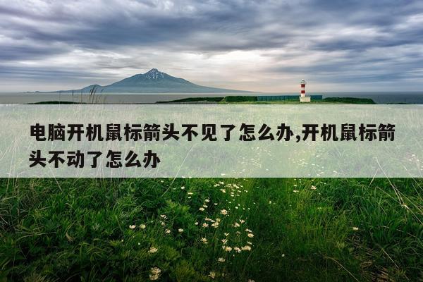 电脑开机鼠标箭头不见了怎么办,开机鼠标箭头不动了怎么办