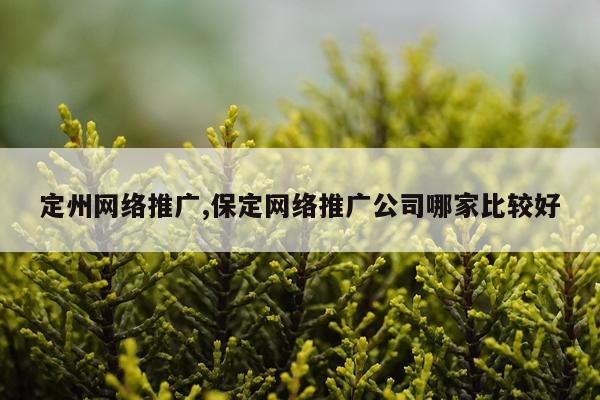 定州网络推广,保定网络推广公司哪家比较好