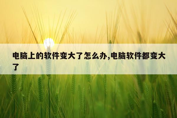 电脑上的软件变大了怎么办,电脑软件都变大了