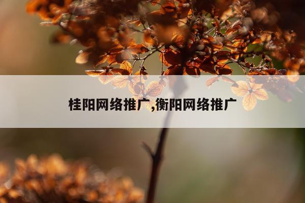 桂阳网络推广,衡阳网络推广