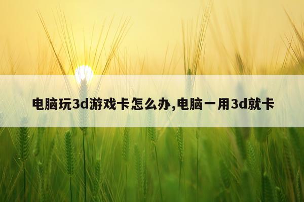 电脑玩3d游戏卡怎么办,电脑一用3d就卡