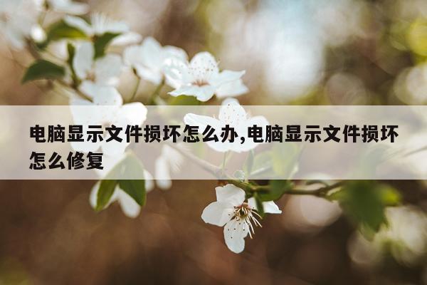 电脑显示文件损坏怎么办,电脑显示文件损坏怎么修复