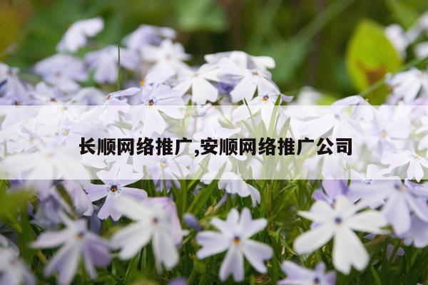 长顺网络推广,安顺网络推广公司