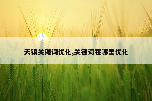 天镇关键词优化,关键词在哪里优化