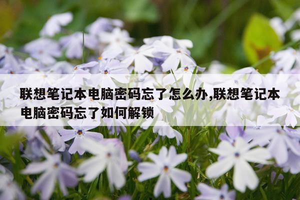 联想笔记本电脑密码忘了怎么办,联想笔记本电脑密码忘了如何解锁