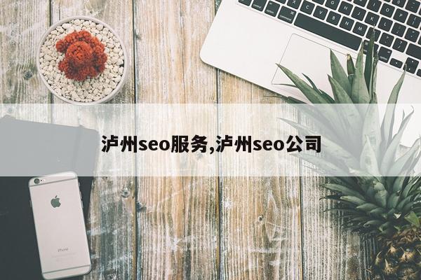 泸州seo服务,泸州seo公司