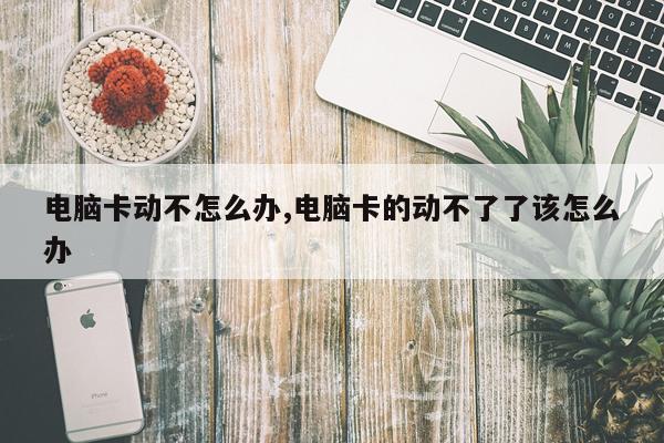 电脑卡动不怎么办,电脑卡的动不了了该怎么办