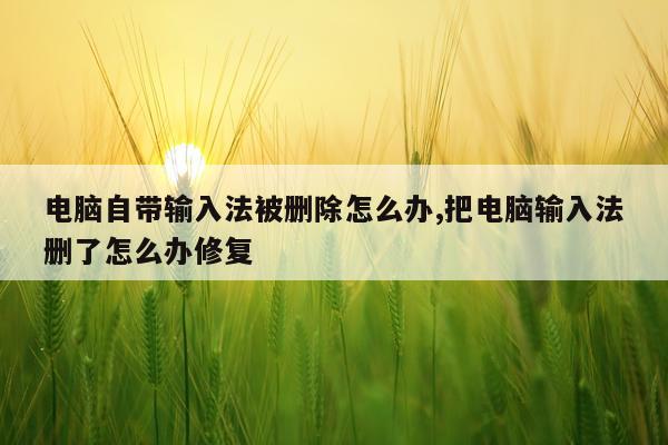 电脑自带输入法被删除怎么办,把电脑输入法删了怎么办修复
