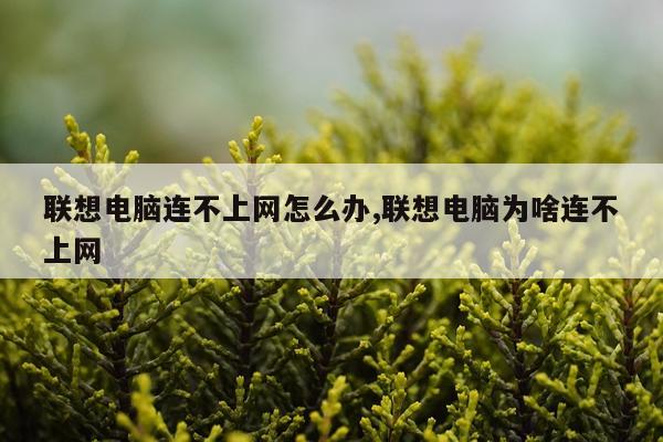 联想电脑连不上网怎么办,联想电脑为啥连不上网