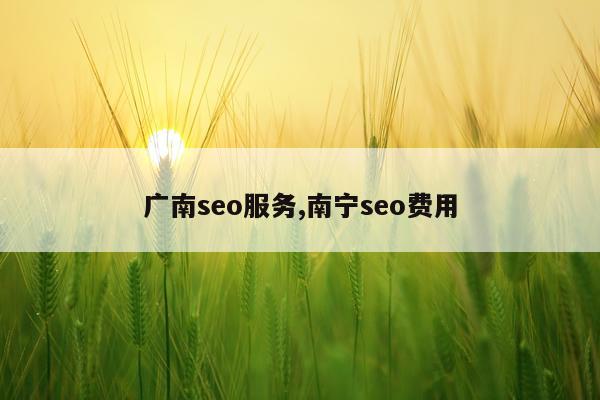 广南seo服务,南宁seo费用