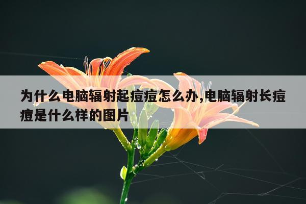 为什么电脑辐射起痘痘怎么办,电脑辐射长痘痘是什么样的图片