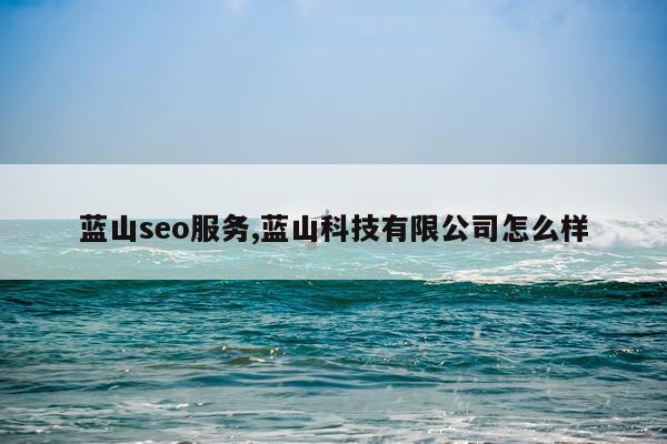 蓝山seo服务,蓝山科技有限公司怎么样