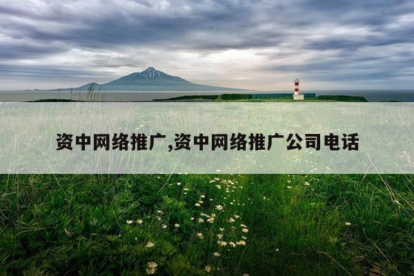 资中网络推广,资中网络推广公司电话