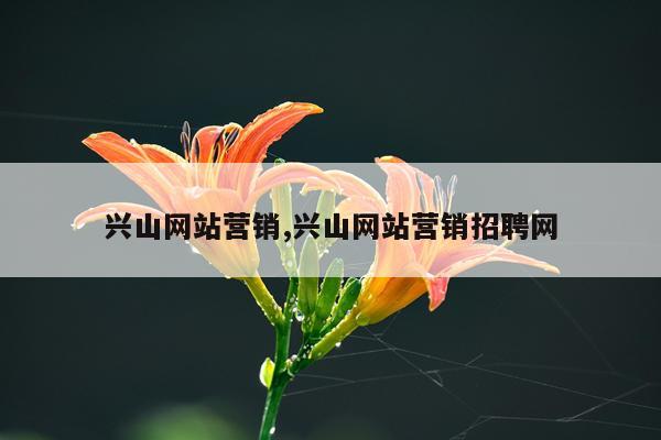 兴山网站营销,兴山网站营销招聘网
