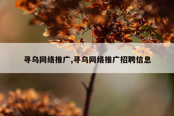 寻乌网络推广,寻乌网络推广招聘信息