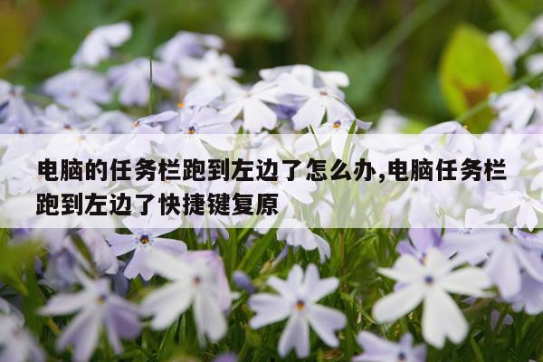 电脑的任务栏跑到左边了怎么办,电脑任务栏跑到左边了快捷键复原