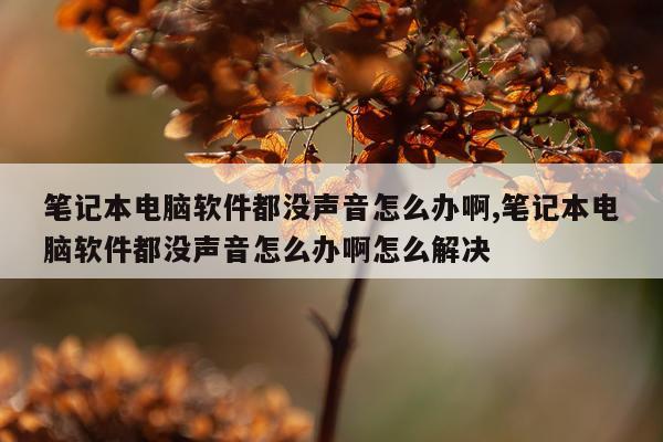 笔记本电脑软件都没声音怎么办啊,笔记本电脑软件都没声音怎么办啊怎么解决