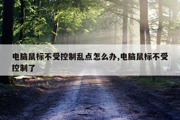 电脑鼠标不受控制乱点怎么办,电脑鼠标不受控制了