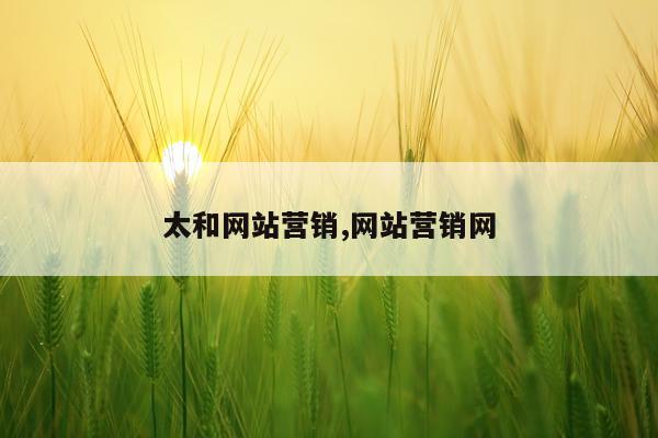太和网站营销,网站营销网