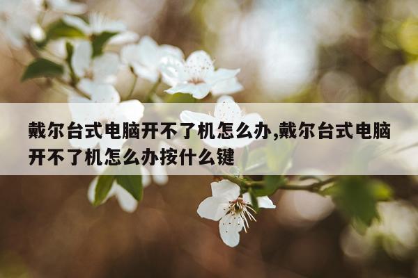 戴尔台式电脑开不了机怎么办,戴尔台式电脑开不了机怎么办按什么键