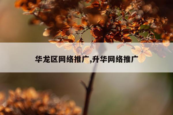 华龙区网络推广,升华网络推广