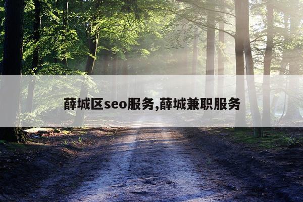 薛城区seo服务,薛城兼职服务