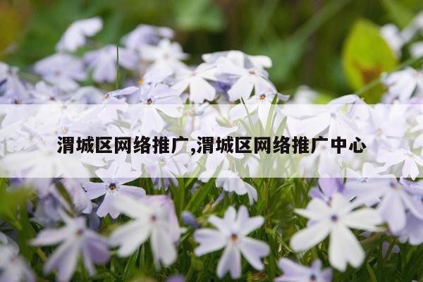 渭城区网络推广,渭城区网络推广中心
