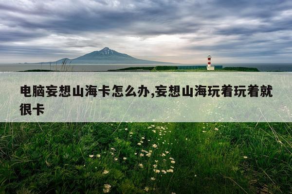 电脑妄想山海卡怎么办,妄想山海玩着玩着就很卡