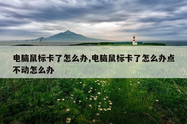 电脑鼠标卡了怎么办,电脑鼠标卡了怎么办点不动怎么办