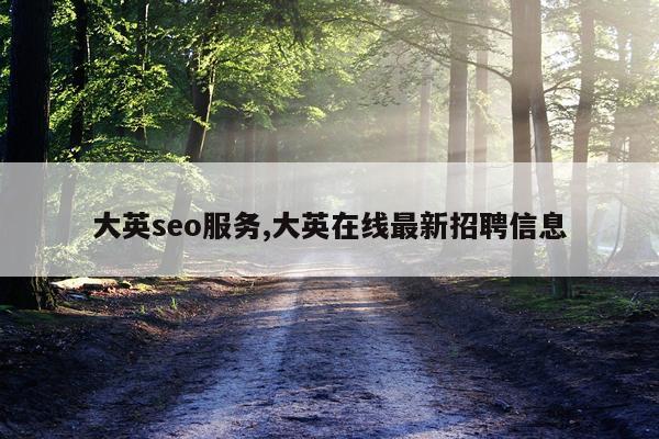 大英seo服务,大英在线最新招聘信息