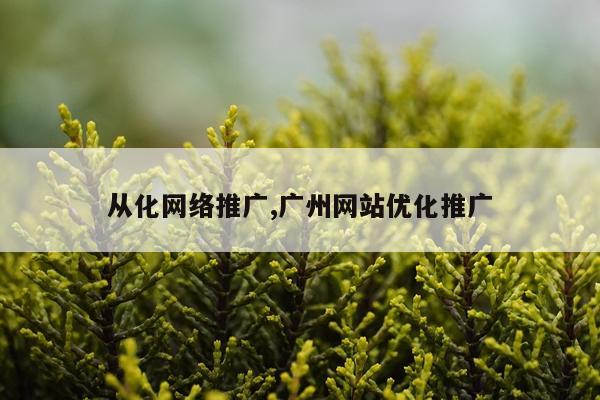 从化网络推广,广州网站优化推广