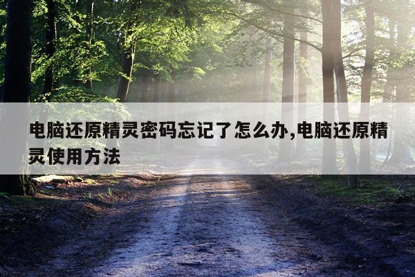 电脑还原精灵密码忘记了怎么办,电脑还原精灵使用方法