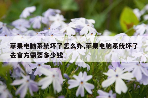 苹果电脑系统坏了怎么办,苹果电脑系统坏了去官方需要多少钱