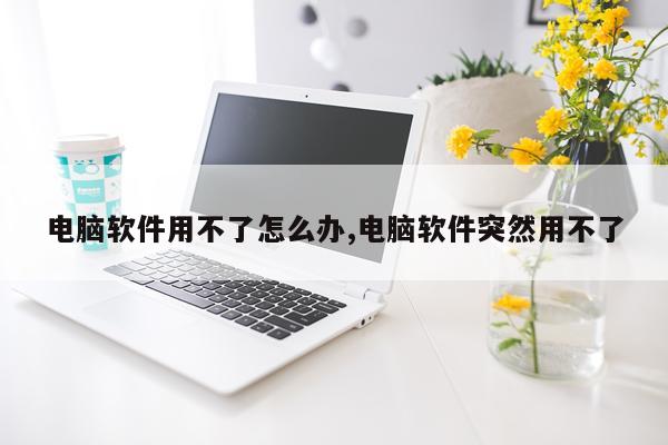 电脑软件用不了怎么办,电脑软件突然用不了