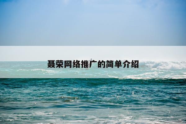聂荣网络推广的简单介绍