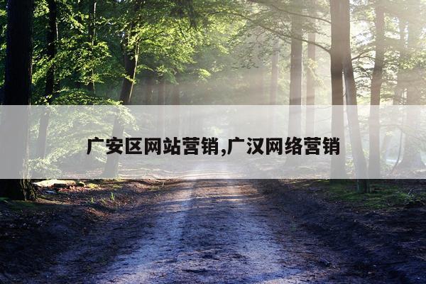 广安区网站营销,广汉网络营销