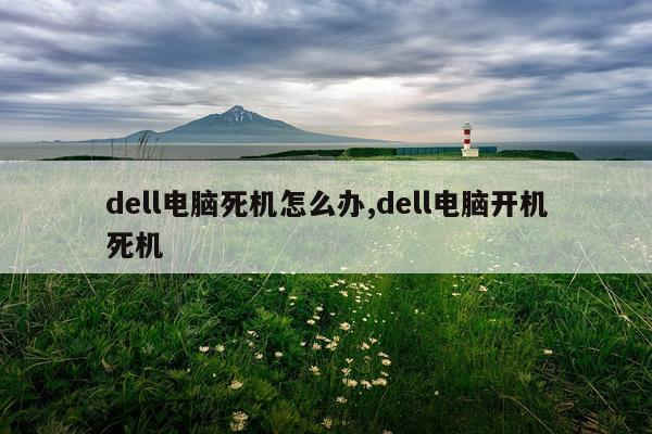 dell电脑死机怎么办,dell电脑开机死机
