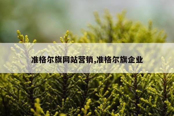 准格尔旗网站营销,准格尔旗企业