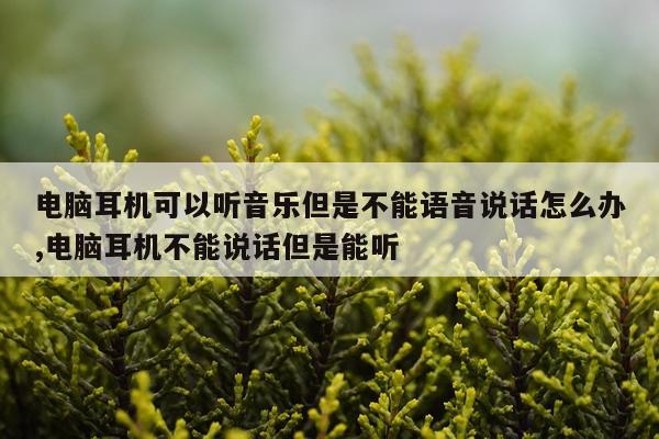 电脑耳机可以听音乐但是不能语音说话怎么办,电脑耳机不能说话但是能听
